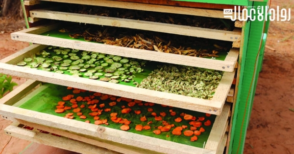 Egypt Solar Fruit Drying Project