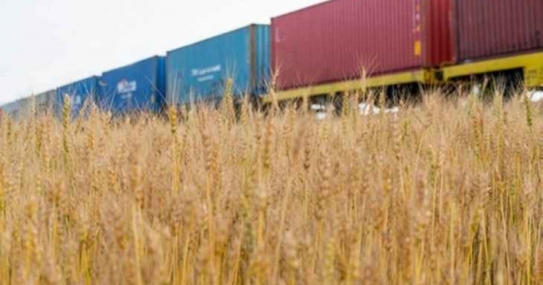 Ministry of Agriculture of Ukraine: About 3.6 million tons of grain harvested this season