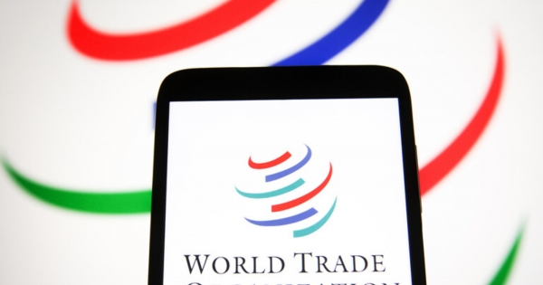 Putin instructed to assess the actions of the WTO in relation to Russia